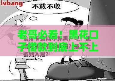 老哥必看！黑花口子借款到底上不上征信？