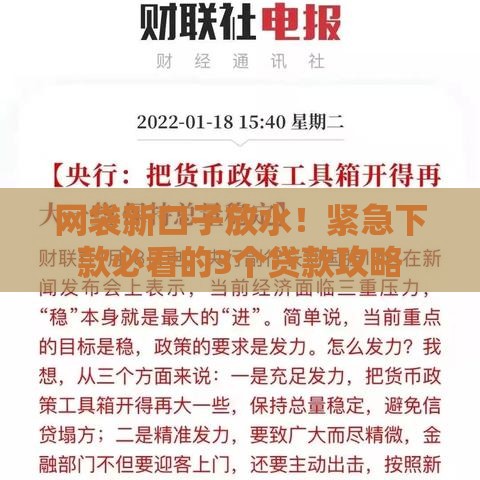 网袋新口子放水！紧急下款必看的3个贷款攻略
