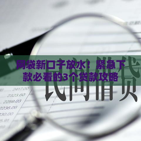 网袋新口子放水！紧急下款必看的3个贷款攻略