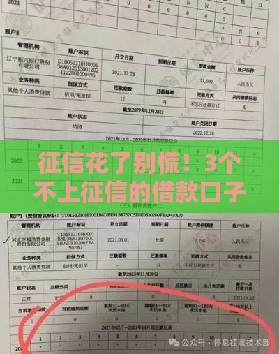 征信花了别慌!3个不上征信的借款口子实测分享 征信花了别慌!3个不上征信的借款口子实测分享