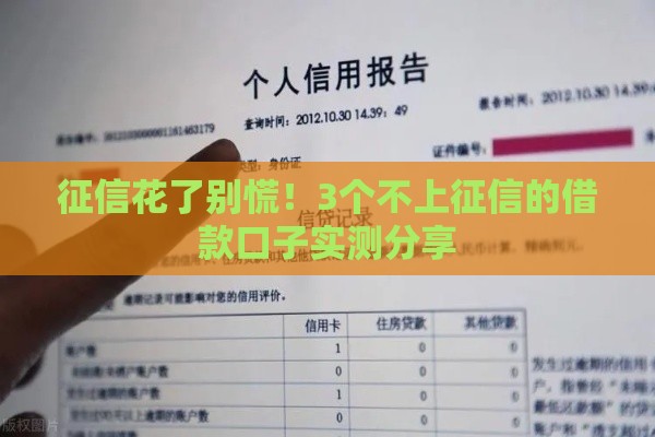 征信花了别慌!3个不上征信的借款口子实测分享 征信花了别慌!3个不上征信的借款口子实测分享