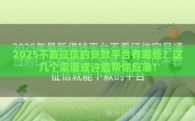 2025不看征信的贷款平台有哪些？这几个渠道或许能帮你应急！