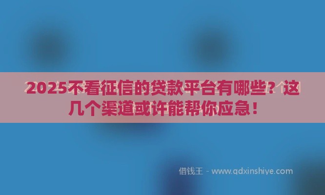 2025不看征信的贷款平台有哪些？这几个渠道或许能帮你应急！