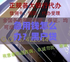 急用钱怎么办？黑户贷款这5招真能应急！