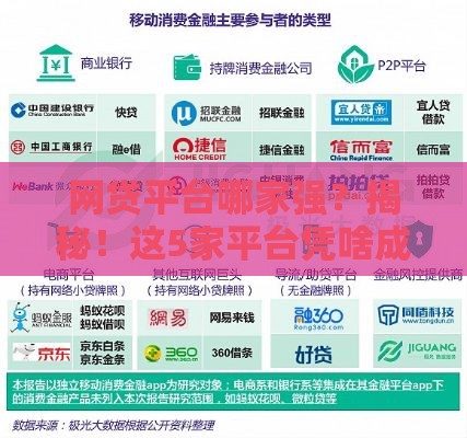 网贷平台哪家强？揭秘！这5家平台凭啥成黑马？
