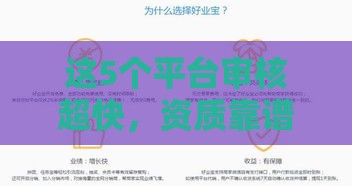 这5个平台审核超快，资质靠谱又好借！