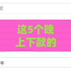 这5个晚上下款的口子审核快、利率低