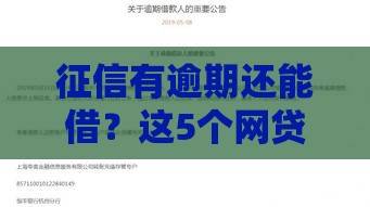 征信有逾期还能借？这5个网贷平台实测通过率高！