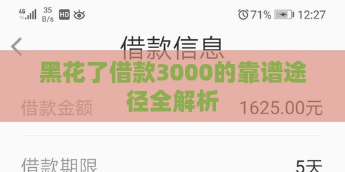 黑花了借款3000的靠谱途径全解析
