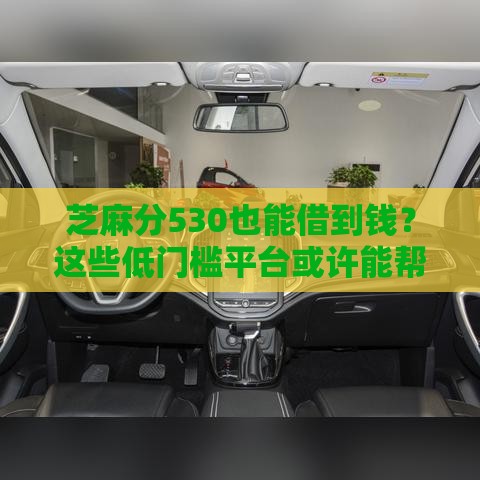 芝麻分530也能借到钱？这些低门槛平台或许能帮你应急！