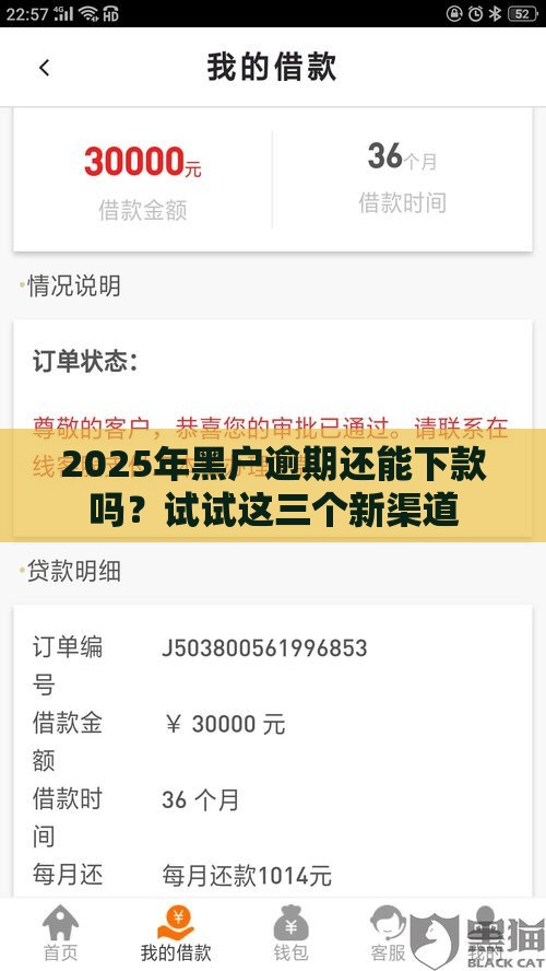 2025年黑户逾期还能下款吗？试试这三个新渠道