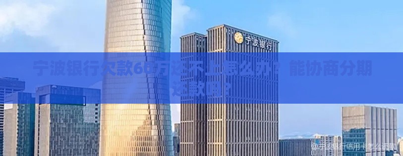 宁波银行欠款60万还不上怎么办？能协商分期还款吗？