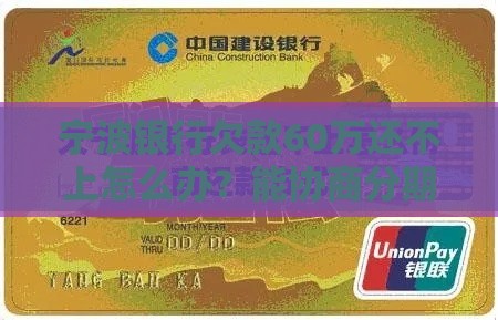 宁波银行欠款60万还不上怎么办？能协商分期还款吗？