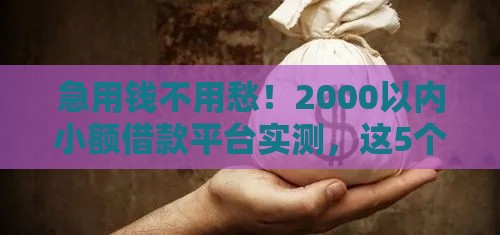 急用钱不用愁！2000以内小额借款平台实测，这5个低门槛、快速到账！