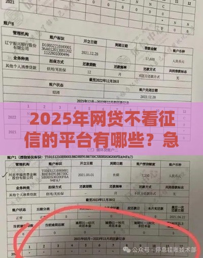 2025年网贷不看征信的平台有哪些？急用钱必看避坑指南！