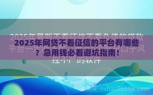 2025年网贷不看征信的平台有哪些？急用钱必看避坑指南！