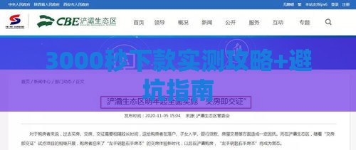 3000秒下款实测攻略+避坑指南