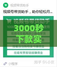 3000秒下款实测攻略+避坑指南
