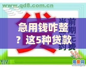 急用钱咋整？这5种贷款方式最快当天到账！