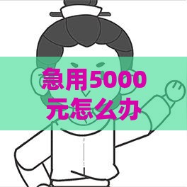 急用5000元怎么办？手把手教你快速借到钱的靠谱方法