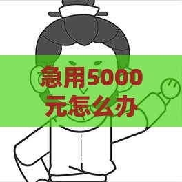 急用5000元怎么办？手把手教你快速借到钱的靠谱方法