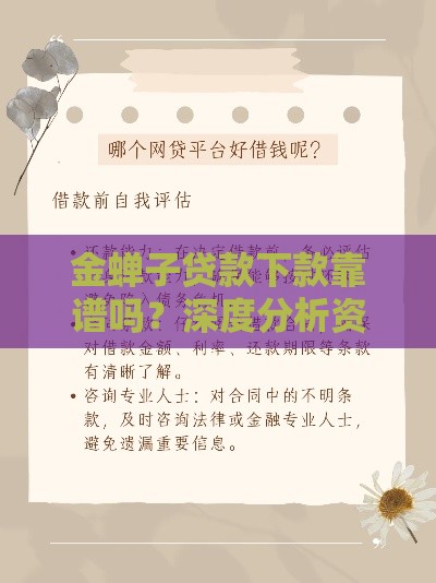 金蝉子贷款下款靠谱吗？深度分析资质、流程与风险，这篇讲透！