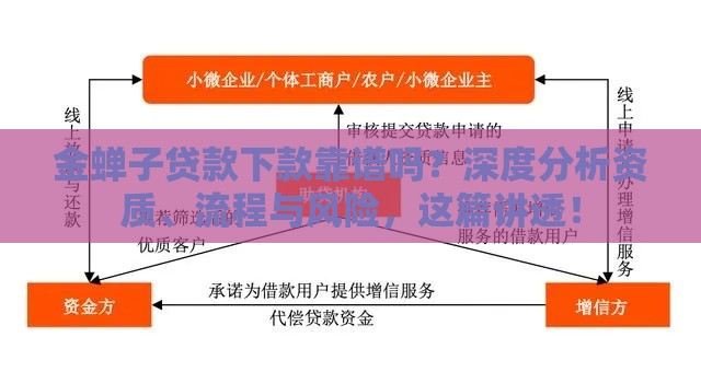 金蝉子贷款下款靠谱吗？深度分析资质、流程与风险，这篇讲透！