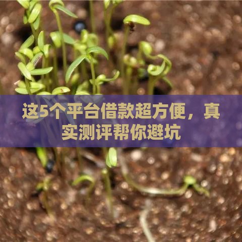 这5个平台借款超方便，真实测评帮你避坑