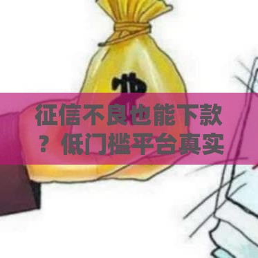 征信不良也能下款？低门槛平台真实评测，