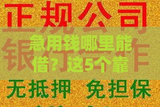 急用钱哪里能借？这5个靠谱贷款口子最快当天到账