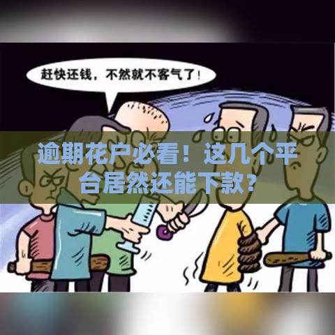 逾期花户必看！这几个平台居然还能下款？