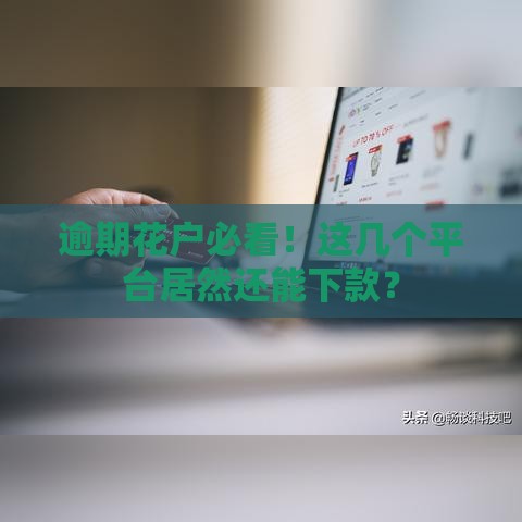 逾期花户必看！这几个平台居然还能下款？