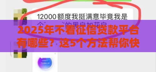 2025年不看征信贷款平台有哪些？这5个方法帮你快速解决资金难题