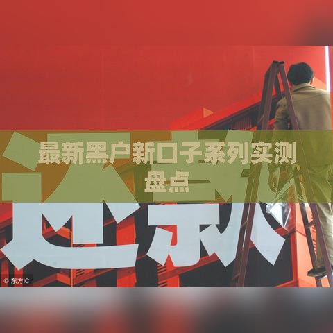 最新黑户新口子系列实测盘点