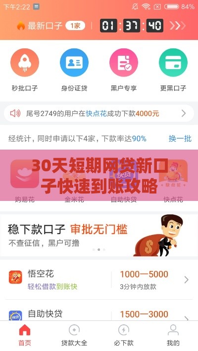 30天短期网贷新口子快速到账攻略