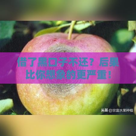 借了黑口子不还？后果比你想象的更严重！