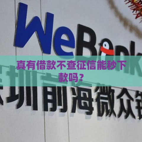 真有借款不查征信能秒下款吗？