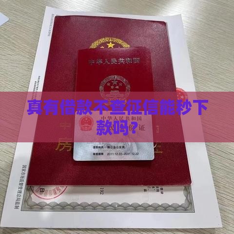 真有借款不查征信能秒下款吗？