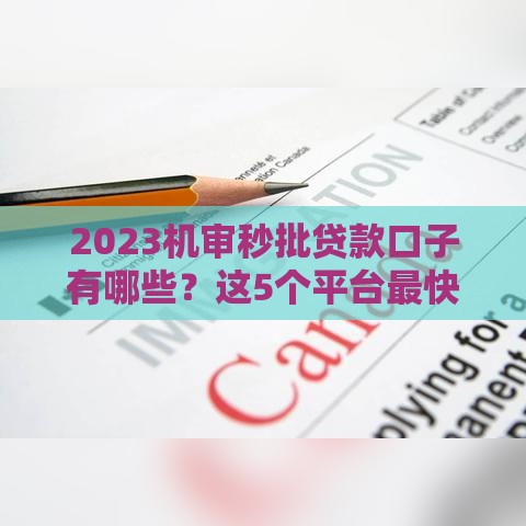 2023机审秒批贷款口子有哪些？这5个平台最快10分钟到账！