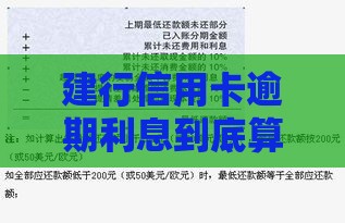 建行信用卡逾期利息到底算不算坑？真实案例帮你算笔账