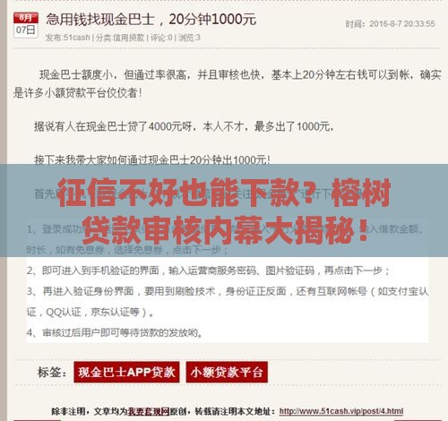 征信不好也能下款？榕树贷款审核内幕大揭秘！