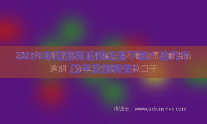 2025年征信有逾期还能下款？这几个口子实测有效！