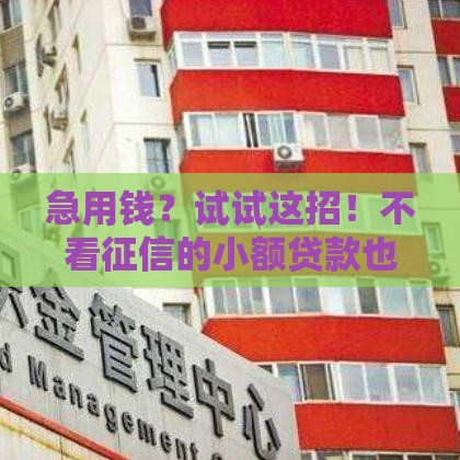 急用钱？试试这招！不看征信的小额贷款也能轻松到手