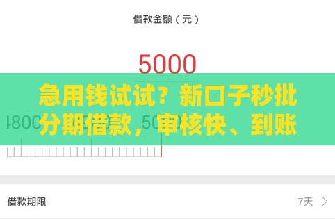 急用钱试试？新口子秒批分期借款，审核快、到账稳！