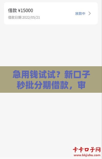 急用钱试试？新口子秒批分期借款，审核快、到账稳！