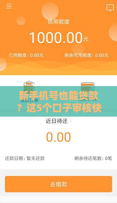 新手机号也能贷款？这5个口子审核快、通过率高！
