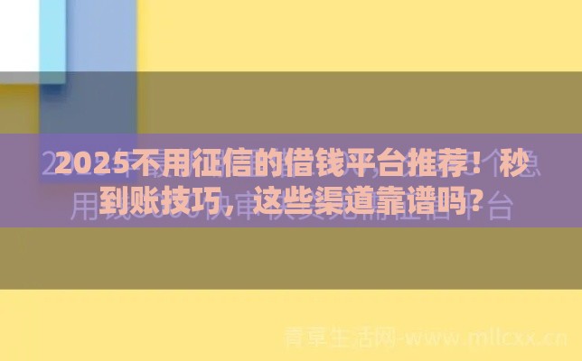 2025不用征信的借钱平台推荐！秒到账技巧，这些渠道靠谱吗？