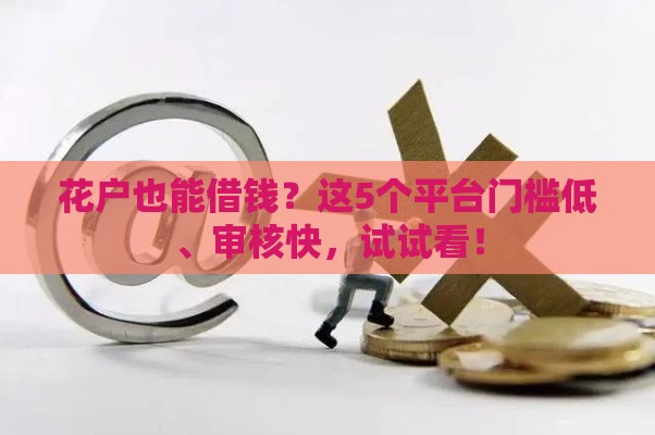 花户也能借钱？这5个平台门槛低、审核快，试试看！