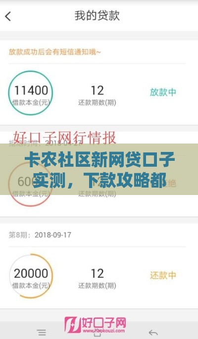 卡农社区新网贷口子实测，下款攻略都在这里