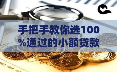 手把手教你选100%通过的小额贷款平台（避坑指南）